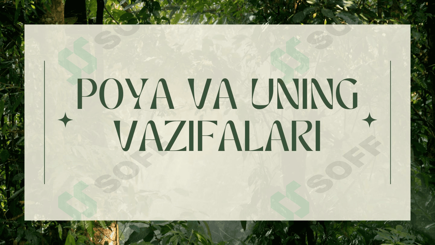 Poya va uning vazifalari 1