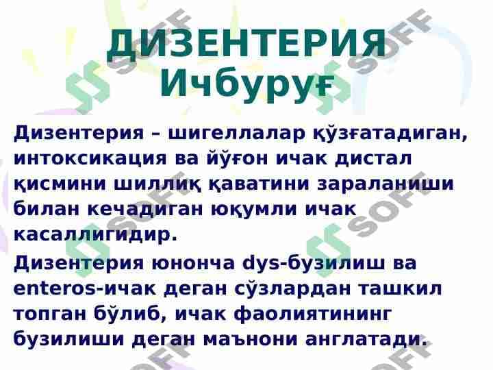 ДИЗЕНТЕРИЯ Ичбуруғ 1