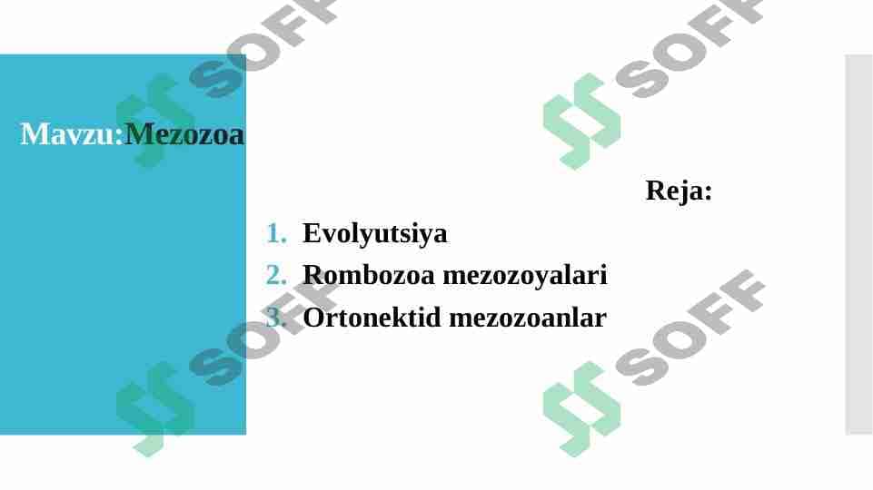 Mezozo 1
