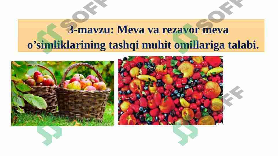 Meva va rezavor meva o’simliklarining tashqi muhit omillariga talabi. 1