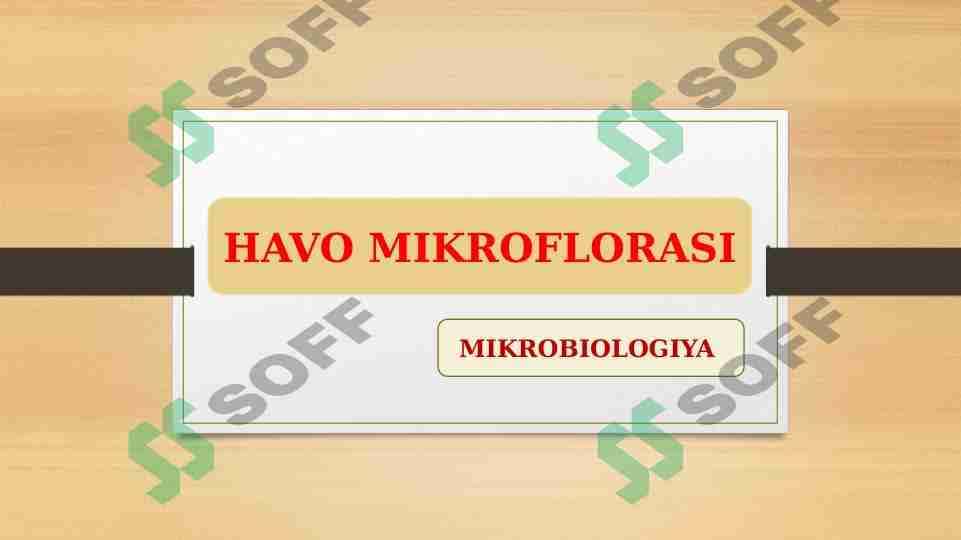 HAVO MIKROFLORASi 1