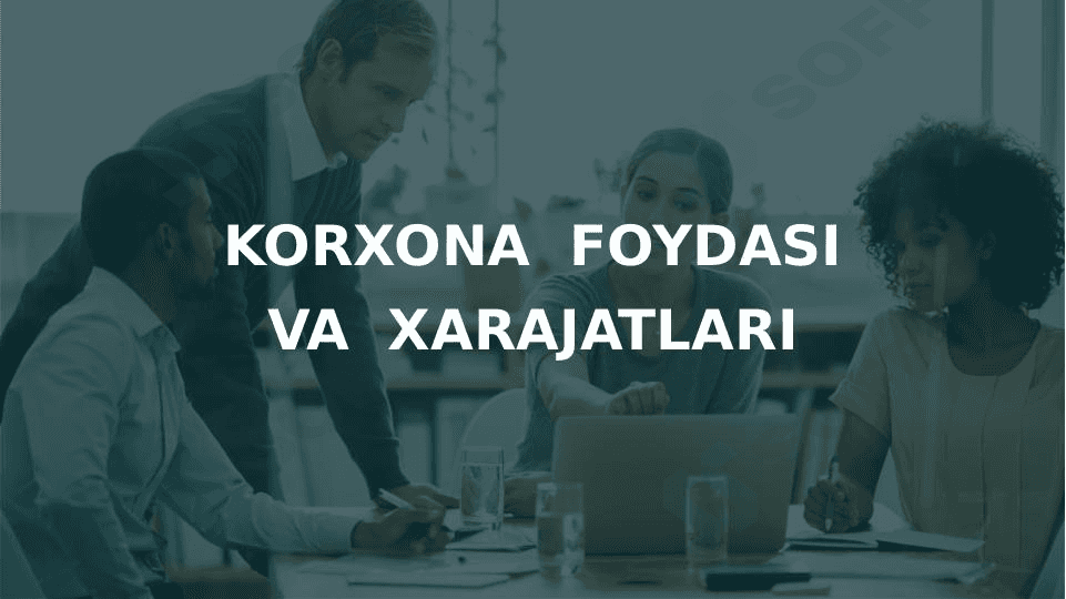 Korxona foydasi 1
