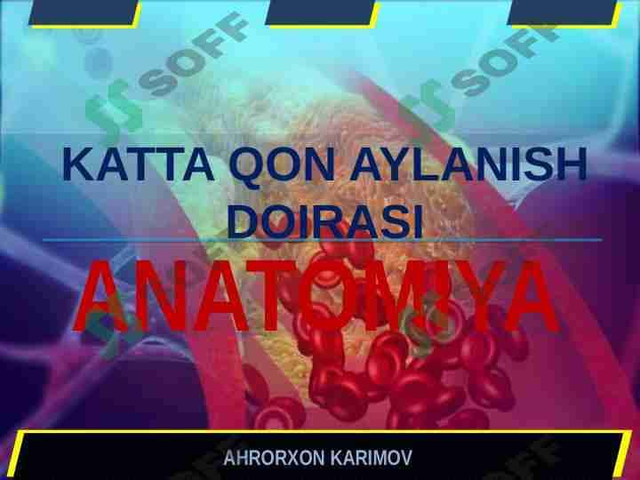 KATTA QON AYLANISH DOIRASI 1