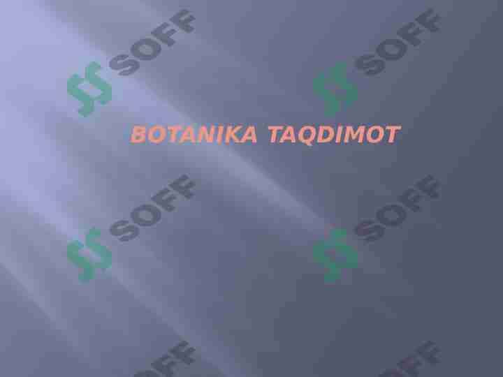Kovulnomalar qabilasi 1