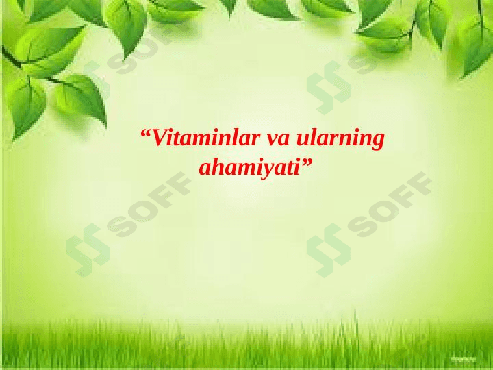 Vitaminlar va ularning ahamiyati 1