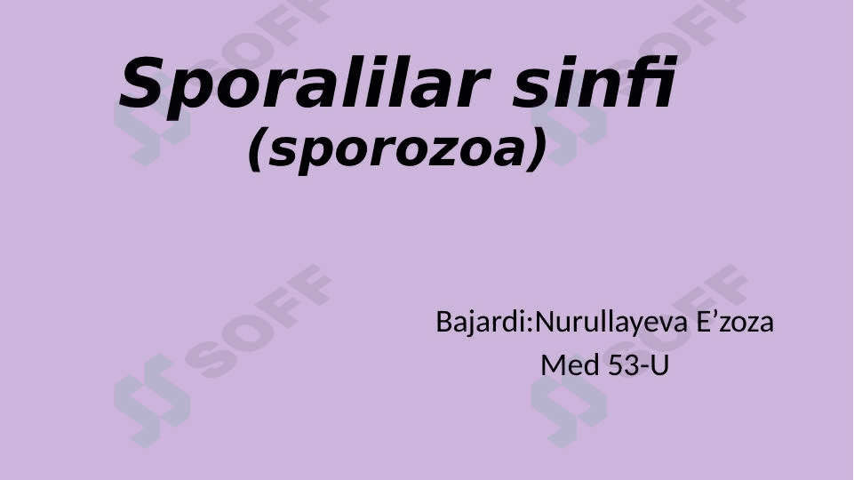 Sporalilar sinfi 1