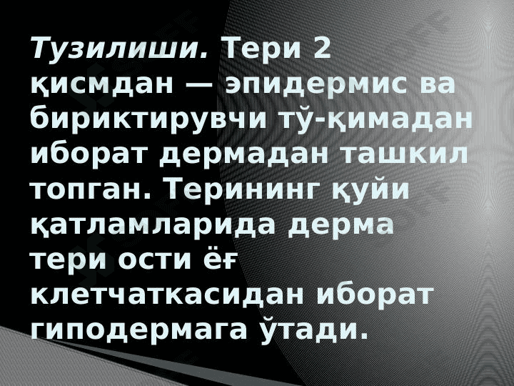 Teri gistalogiyasi 1