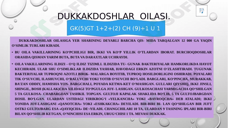dukkakdoshlar oilasi 1