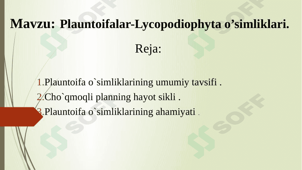 Plauntoifalilar sinfi 1