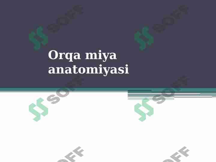 Orqa miya anatomiyasi 1