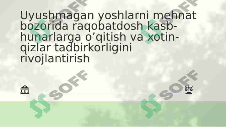 Uyushmagan yoshlarni mehnat bozorida raqobatdosh kasb-hunarlarga o’qitish va xotin- qizlar tadbirkorligini rivojlantirish 1
