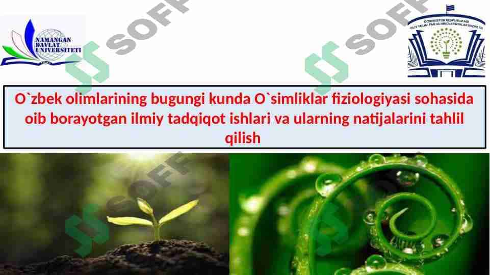 O`zbek olimlarining bugungi kunda O`simliklar fiziologiyasi sohasida oib borayotgan ilmiy tadqiqot ishlari va ularning natijalarini tahlil qilish 1