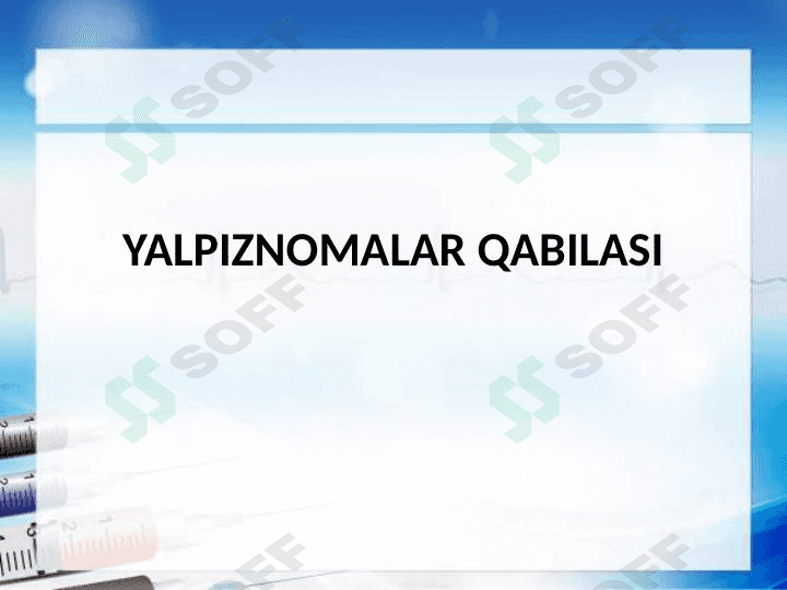 Yalpiznamolar qabilasi 1