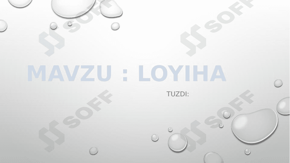 Loyiha 1