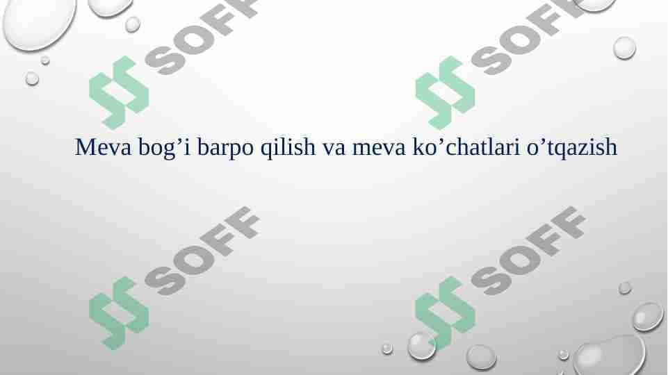 Meva bog’i barpo qilish va meva ko’chatlari o’tqazish 1