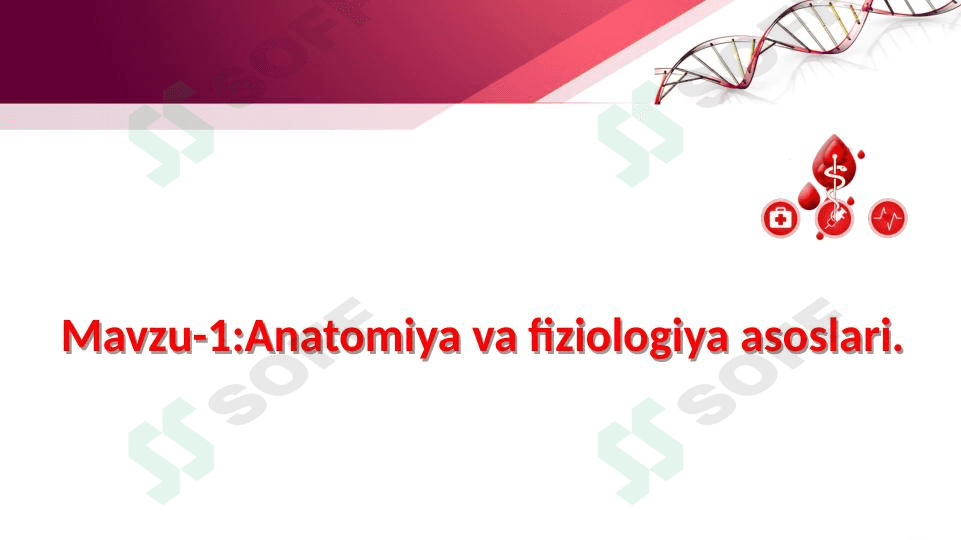 Odam anatomiyasi va fiziologiyasi. 1