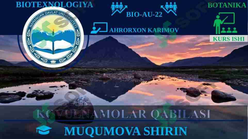 KOVULNAMOLAR QABILISI 1