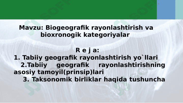 biogeografik rayonlashtirish 1