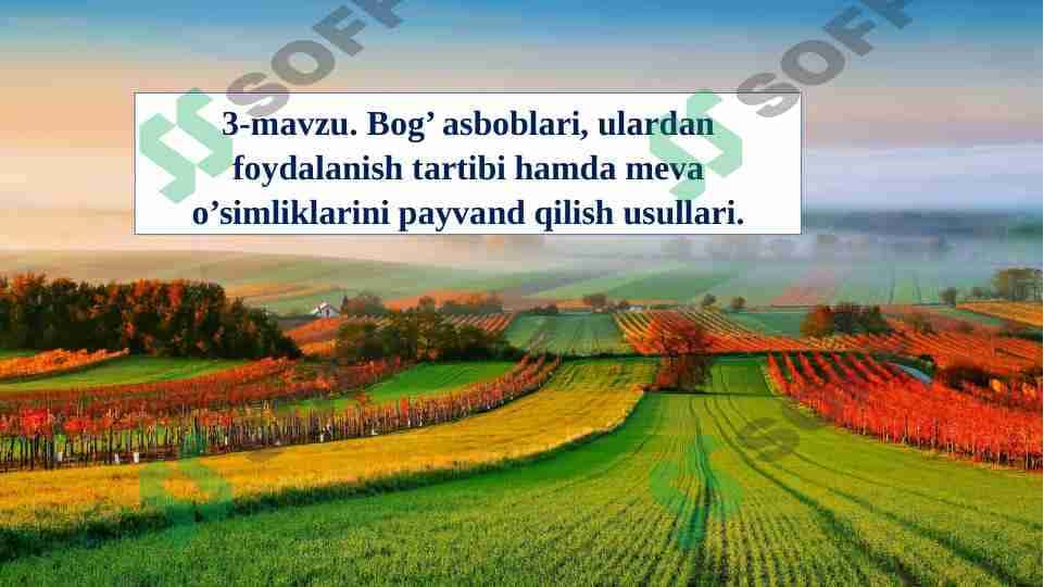 Bog’ asboblari, ulardan foydalanish tartibi hamda meva o’simliklarini payvand qilish usullari. 1