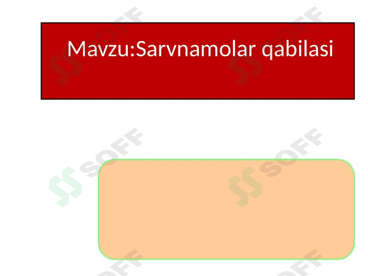 Sarvnamolar qabilasi 1