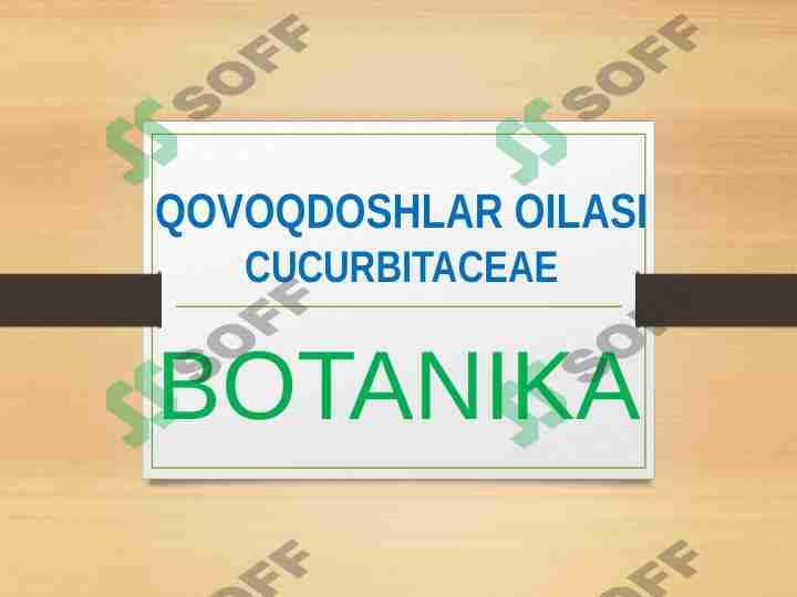 QOVOQDOSHLAR OILASI CUCURBITACEAE 1