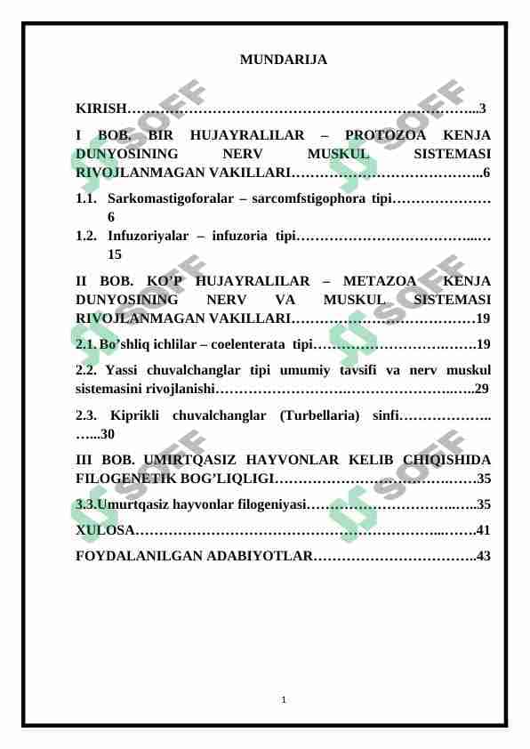 Muskul va nerv sistemasi rivojlanmagan hayvonlar 1