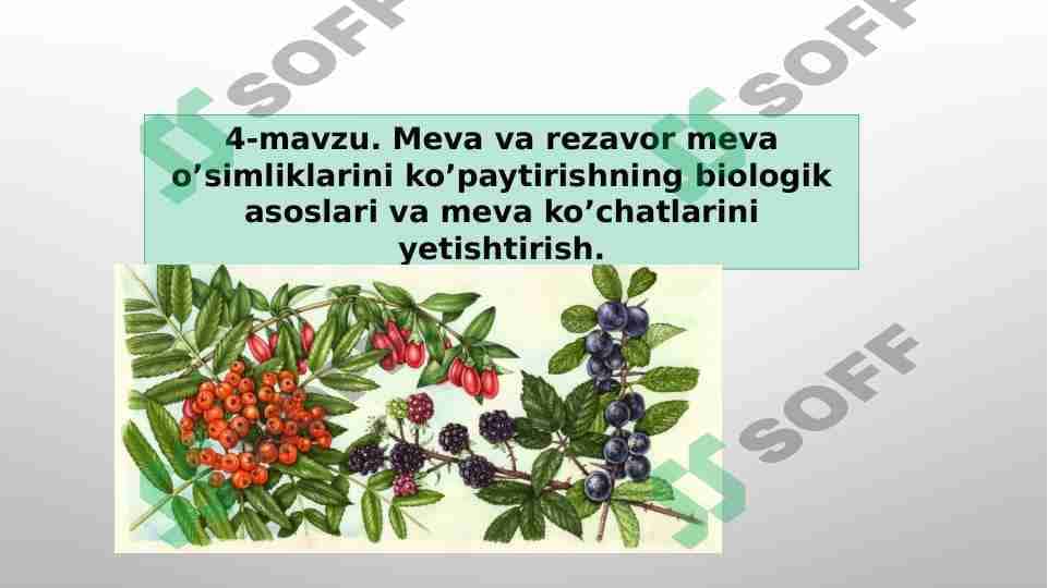 Meva va rezavor meva o’simliklarini ko’paytirishning biologik asoslari va meva ko’chatlarini yetishtirish. 1
