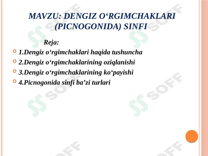 dengiz o'rgimchaklari 1