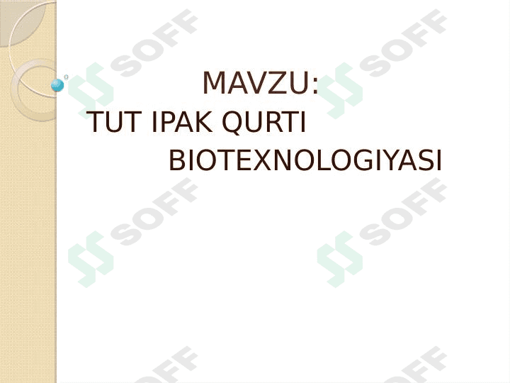Tut ipak qurti biotexnologiyasi 1