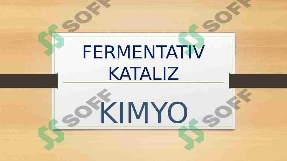 FERMENTATIV KATALIZ 1