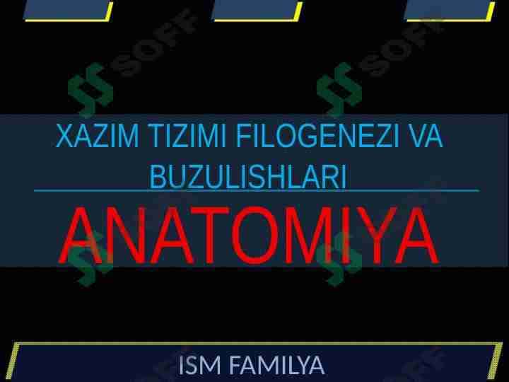 XAZIM TIZIMI FILOGENEZI VA BUZULISHLARI 1
