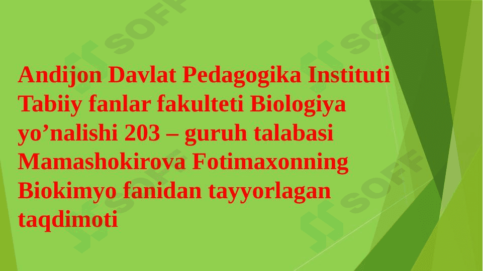 Uglevodlar, Polisaxaridlar va  ularning ahamyati 1