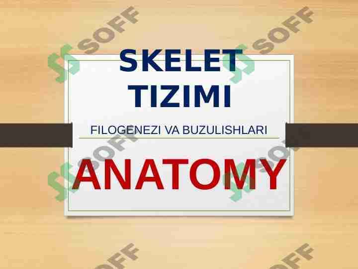 SKELET TIZIMI - FILOGENEZI VA BUZULISHLARI 1