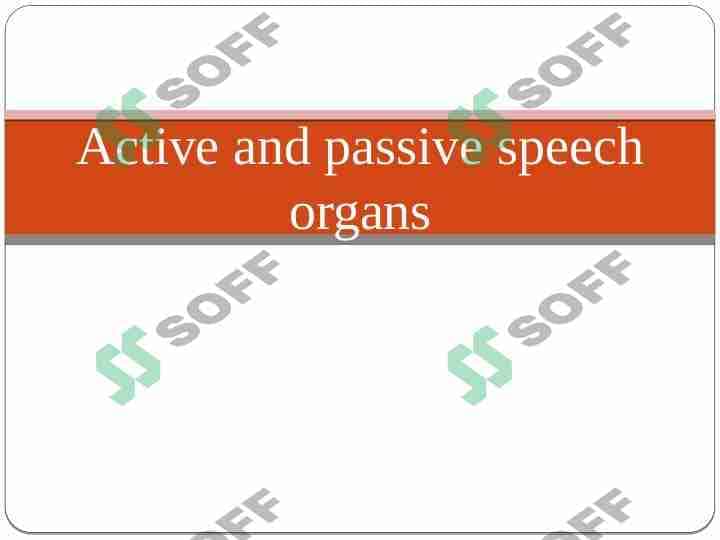 Active and passive speech organs presentation 1