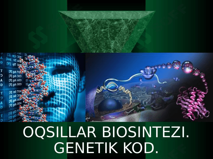 Plastik almashinuv. Oqsillar biosintezi. Genetik kod. 1