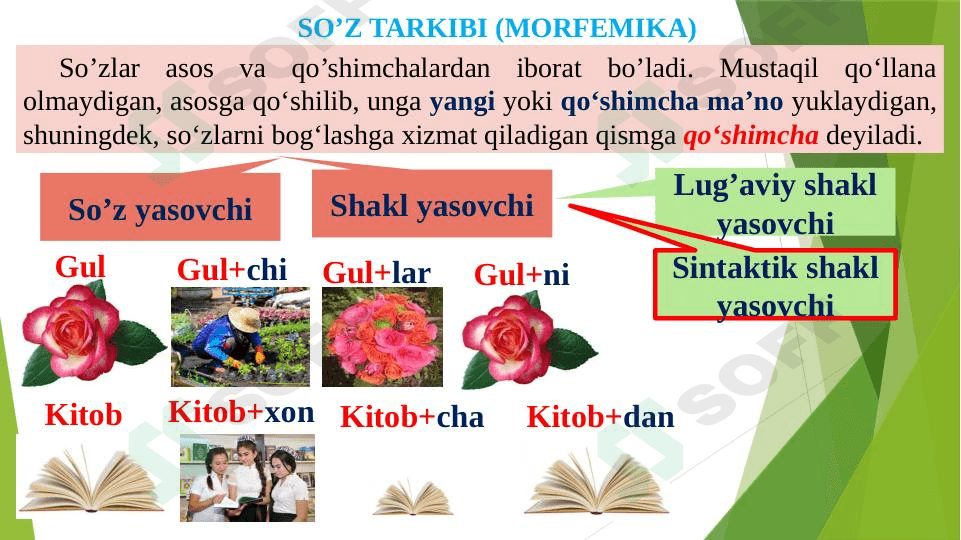 Mayl shakllari,Shaxs-son shakllari. 1