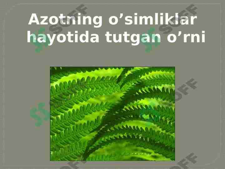 azotning o'simlik hayotida tutgan o'rni 1