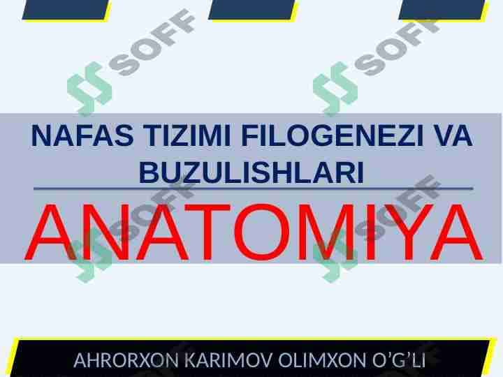 NAFAS TIZIMI FILOGENEZI VA BUZULISHLARI 1