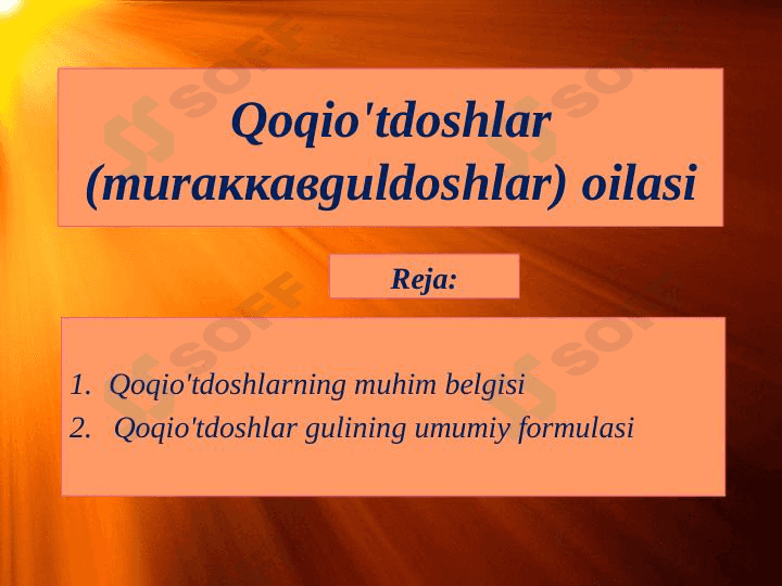 Qoqioʻtdoshlar kurs ishi slayd 1
