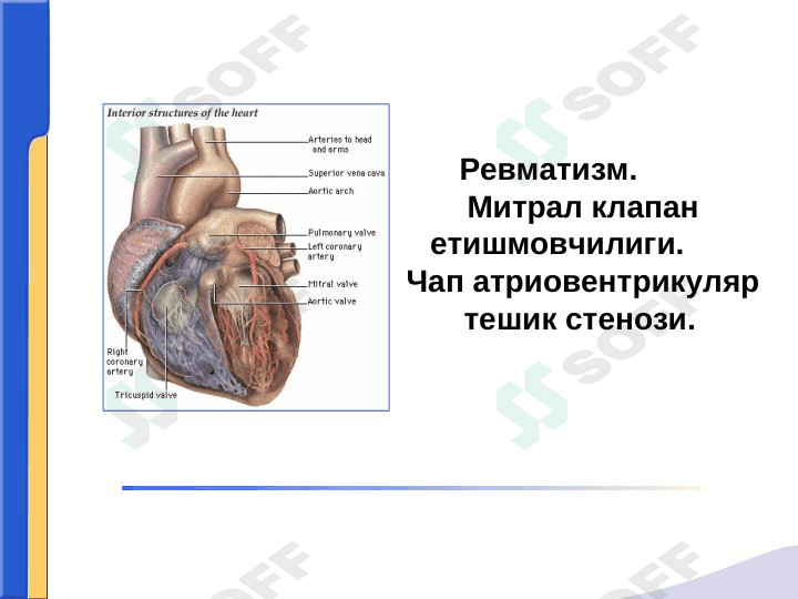 REVMATIZM.MITRAL KLAPAN YETISHMOVCHILIGI 1