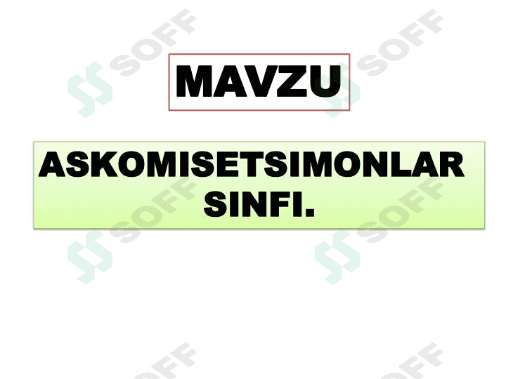Askomisetsimonlar 1