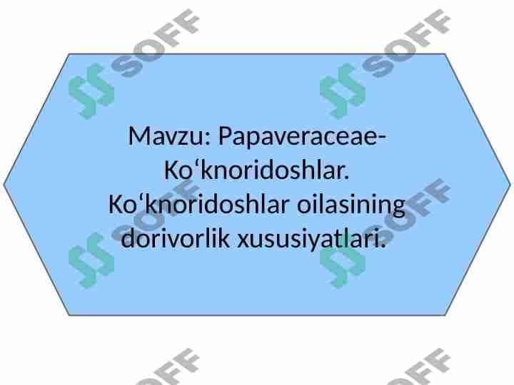 Papaveraceae-Koʻknoridoshlar. Koʻknoridoshlar oilasining dorivorlik xususiyatlari 1