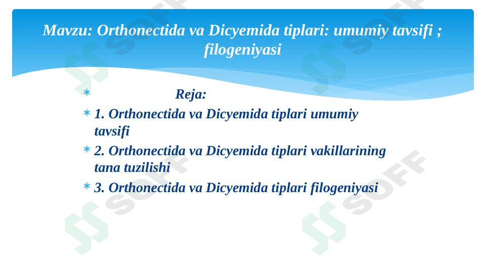 orthonectida va dicyemida tiplari 1