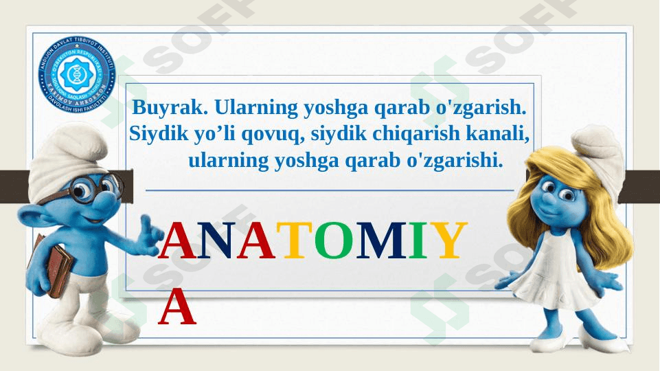 Buyrak. Ularning yoshga qarab o'zgarish. Siydik yo’li qovuq, siydik chiqarish kanali,       ularning yoshga qarab o'zgarishi. 1