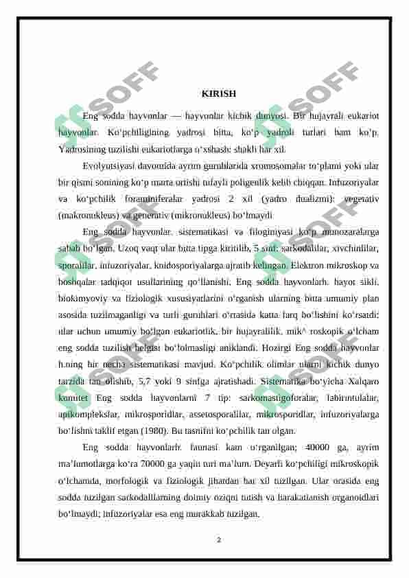Muskul va nerv sistemasi rivojlanmagan hayvonlar 2
