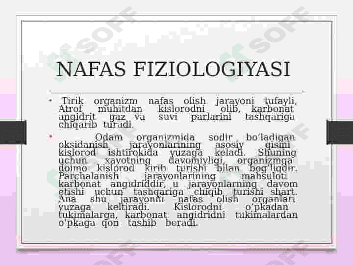 TASHQI NAFAS FUNKSIYASINI O'RGANISH 2