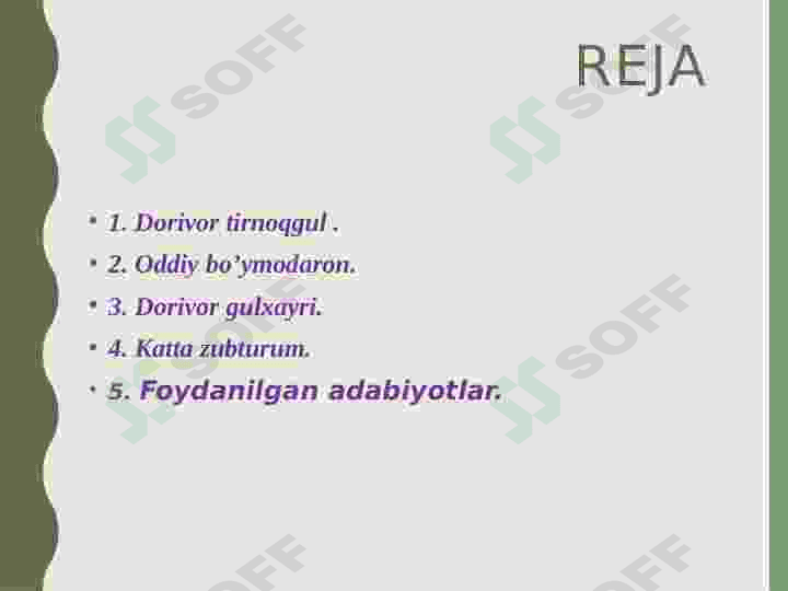 Oʻzbekistonda tarqalgan dorivor oʻsimliklar 2