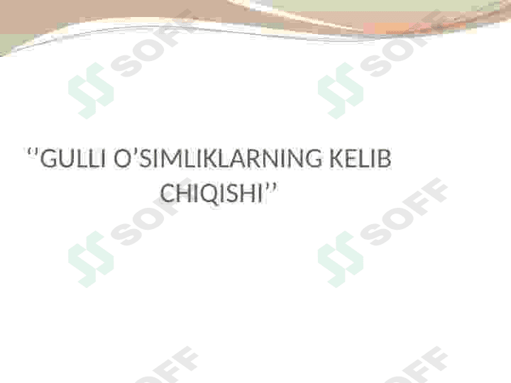 Gulli oʻsimliklarni kelib chiqishi 2