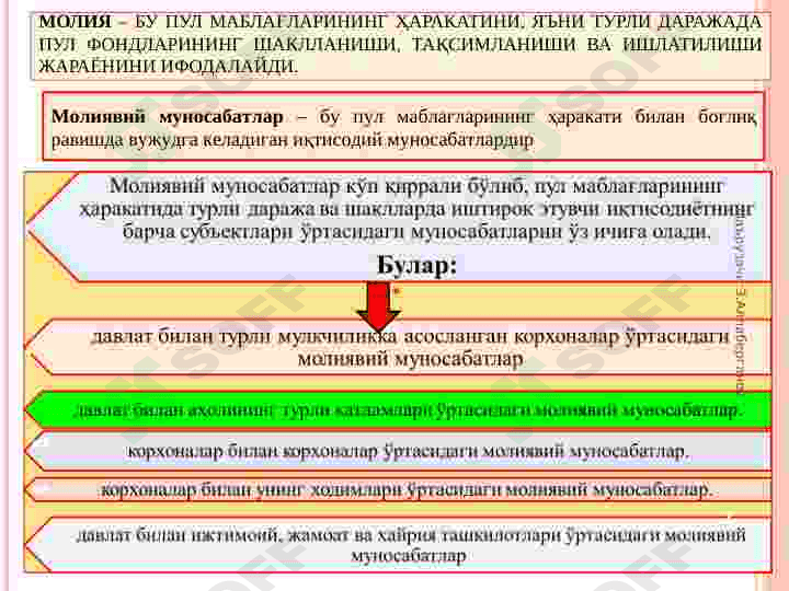 Молия тизими 2