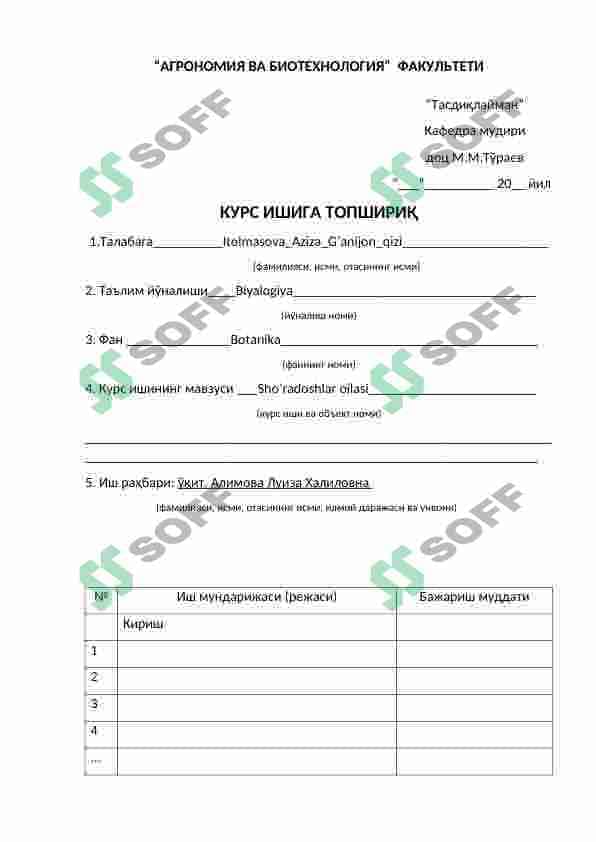 Shoʻradoshlar oilasi 2